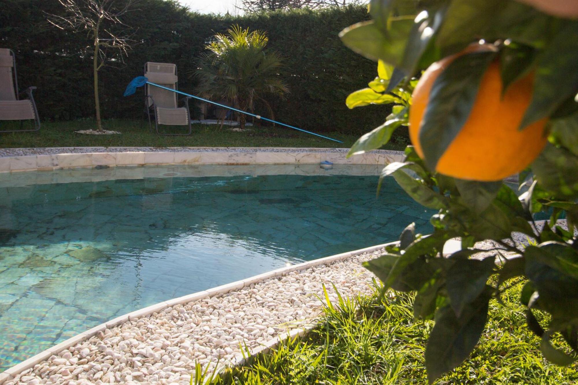 Guest H4U - Villa Garden & Pool Povoa de Varzim Bagian luar foto